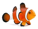 Figurka Clown Fish Animal Planet