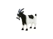 Figurka Billy Goat Animal Planet