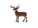 Figurka White Tailed Deer Buck Animal Planet