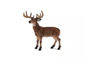 Figurka White Tailed Deer Buck Animal Planet