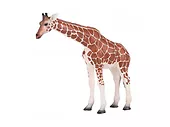 Figurka ŻYRAFA SAMICA Animal Planet 381033 XL