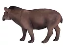 FIGURKA BRAZILIAN TAPIR ANIMAL PLANET