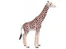 Figurka Giraffe Male Animal Planet