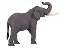 Figurka African Elephant NEW 2021 Animal Planet