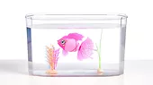 Cobi Figurka Little Live Pets Pływająca rybka z akwarium