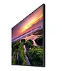 Samsung Monitor wielkoformatowy 55 cali QB55B LH55QBBEBGCXEN