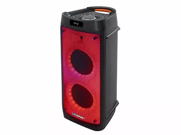 Przenośny głośnik Blaupunkt Bluetooth i karaoke 2 mikrofony PB06DB