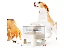Dozownik suchej karmy dla psa lub kota, obsługiwany przez pupila, biały- Media-Tech MT7130W PET AUTO-BUFFET