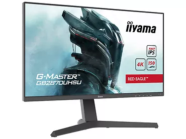 Monitor 28