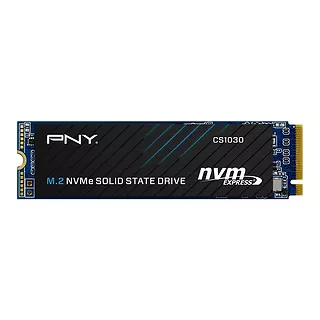 PNY Dysk SSD 250GB M.2 2280 CS1030 M280CS1030-250-RB