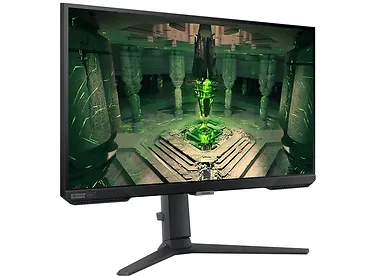 Monitor 25