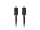 Lanberg Kabel USB-C M/M 3.1 gen 2 1.8M 10GB/S PD100W czarny