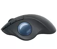 Trackball Logitech Ergo M575 Graphite      910-005872