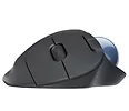 Trackball Logitech Ergo M575 Graphite      910-005872