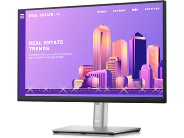 Monitor 22