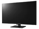 Monitor LG 43