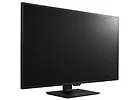 Monitor LG 43