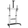 Mobilny stojak do TV 60-100 cali 100kg z półką