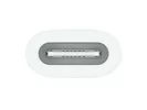 Apple Przejściówka z USB-C na Apple Pencil