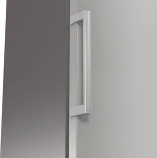 Chłodziarka R619FES5