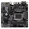 Płyta główna H610M S2H DDR4 s1700 2DDR4 DP/HDMI/DVI M.2 mATX