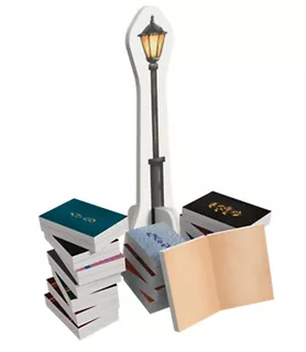Klocki Brick Trick Flourish and Blotts Bookseller Harry Potter