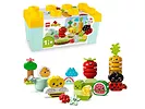 LEGO DUPLO My First - Ogród uprawowy 10984