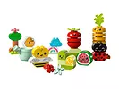 LEGO DUPLO My First - Ogród uprawowy 10984