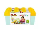 LEGO DUPLO My First - Ogród uprawowy 10984