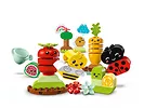 LEGO DUPLO My First - Ogród uprawowy 10984