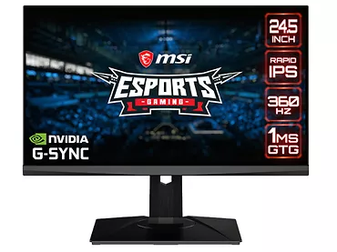 Monitor 24,5
