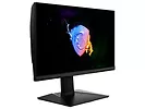 Monitor 24,5