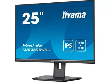 Monitor 25