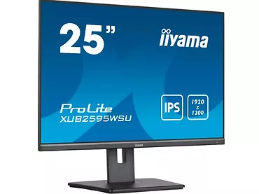 Monitor 25