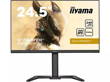 Monitor 24,5