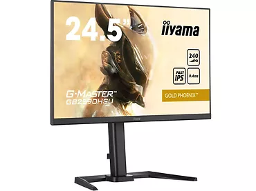 Monitor 24,5