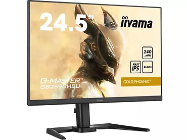 Monitor 24,5