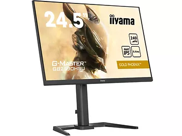 Monitor 24,5