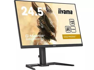 Monitor 24,5