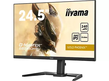 Monitor 24,5