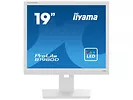 Monitor 19