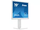 Monitor 19