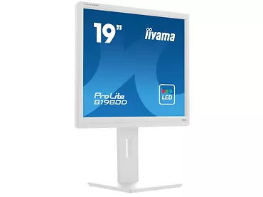 Monitor 19