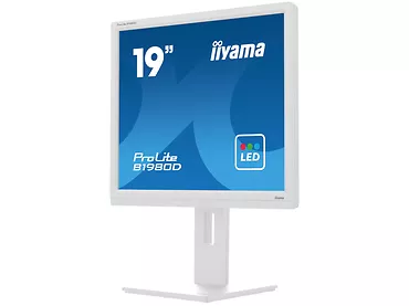 Monitor 19