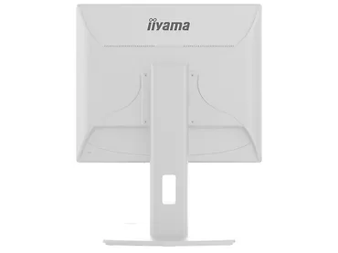 Monitor 19