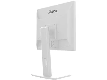 Monitor 19
