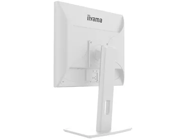 Monitor 19