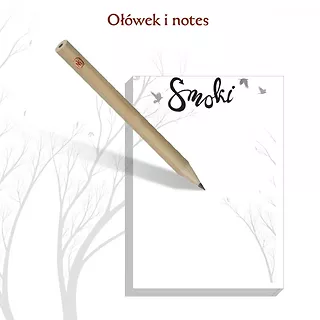 Nasza księgarnia Gra Smoki