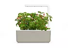 Ogród domowy Click and Grow Smart Garden 3 SGS7UNI Beżowy