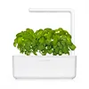 Kapsułki roślinne Click and Grow Plant Pods Bazylia 3-Pack SGR3X3